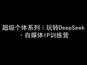 超级个体系列，玩转DeepSeek·自媒体IP训练营，deepseek教程互联网行业-互联网创业-创业网-知识创造价值 新生无限可能网创星球