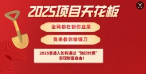 2025项目天花板普通人如何通过知识付费，实现财F自由【揭秘】互联网行业-互联网创业-创业网-知识创造价值 新生无限可能网创星球