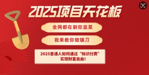 2025项目天花板普通人如何通过知识付费，实现财F自由【揭秘】互联网行业-互联网创业-创业网-知识创造价值 新生无限可能网创星球