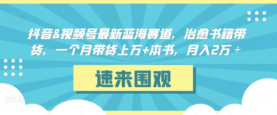 抖音&视频号最新蓝海赛道，治愈书籍带货，一个月带货上万+本书，月入2万＋【揭秘】互联网行业-互联网创业-创业网-知识创造价值 新生无限可能网创星球