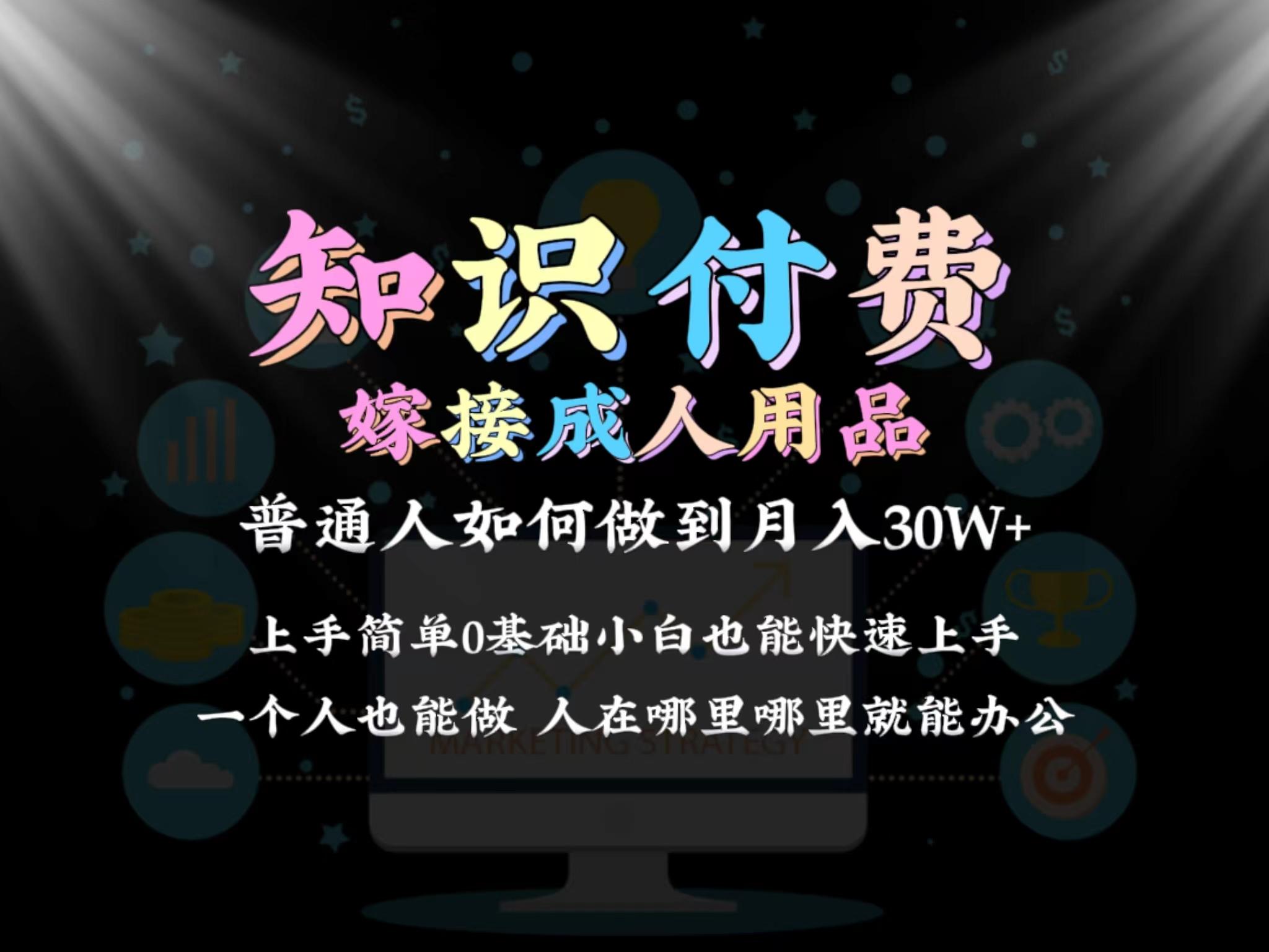 2024普通人做知识付费结合成人用品如何实现单月变现30w 保姆教学1.0互联网行业-互联网创业-创业网-知识创造价值 新生无限可能网创星球
