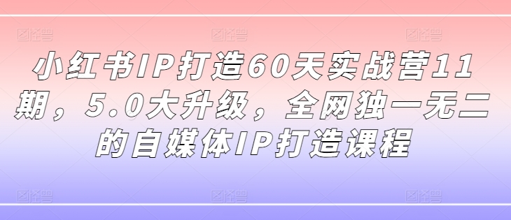 小红书IP打造60天实战营11期，5.0大升级，全网独一无二的自媒体IP打造课程互联网行业-互联网创业-创业网-知识创造价值 新生无限可能网创星球