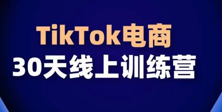 TikTok电商带货30天线上课，不可错过的全球流量洼地！互联网行业-互联网创业-创业网-知识创造价值 新生无限可能网创星球
