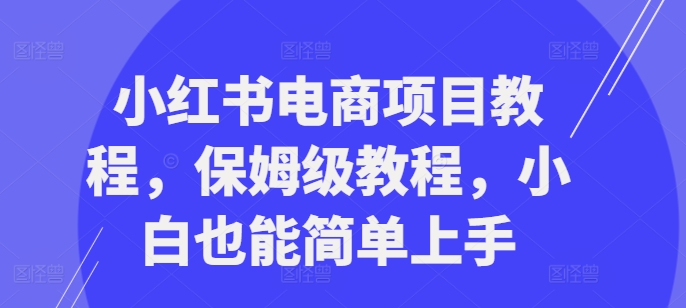 小红书电商项目教程，保姆级教程，小白也能简单上手互联网行业-互联网创业-创业网-知识创造价值 新生无限可能网创星球