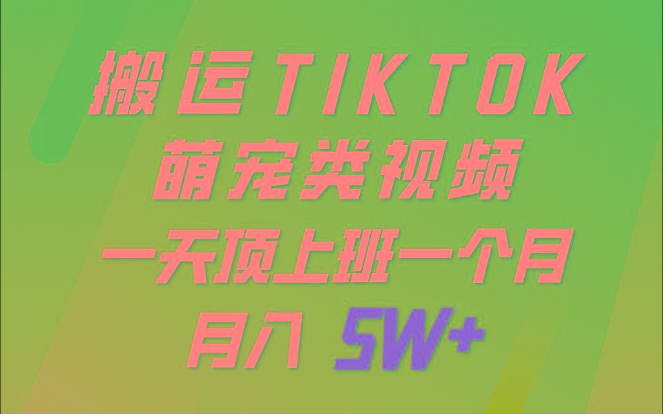 一键搬运TIKTOK萌宠类视频，一部手机即可操作，所有平台均可发布 轻松月入5W+互联网行业-互联网创业-创业网-知识创造价值 新生无限可能网创星球