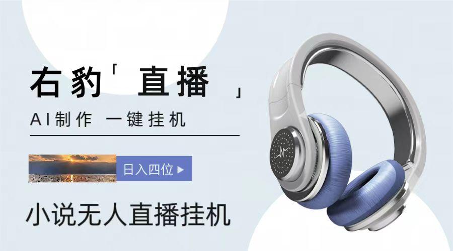 右豹小说无人直播挂机吸金项目，简单易行收益稳定， 月入1000+互联网行业-互联网创业-创业网-知识创造价值 新生无限可能网创星球