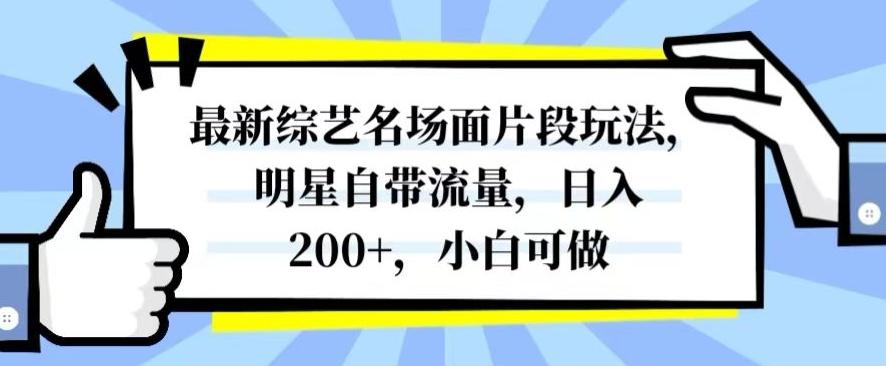 最新综艺名场面片段玩法，明星自带流量，日入200+，小白可做【揭秘】互联网行业-互联网创业-创业网-知识创造价值 新生无限可能网创星球