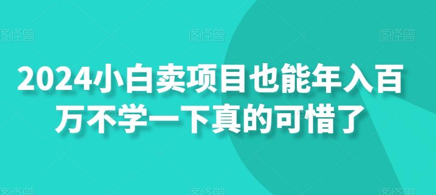 2024小白卖项目也能年入百万不学一下真的可惜了互联网行业-互联网创业-创业网-知识创造价值 新生无限可能网创星球