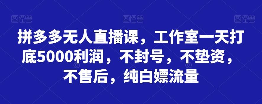 拼多多无人直播课，工作室一天打底5000利润，不封号，不垫资，不售后，纯白嫖流量互联网行业-互联网创业-创业网-知识创造价值 新生无限可能网创星球