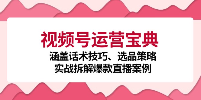 视频号运营宝典：涵盖话术技巧、选品策略、实战拆解爆款直播案例互联网行业-互联网创业-创业网-知识创造价值 新生无限可能网创星球