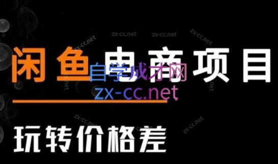 亿创繁星·闲鱼电商项目(玩转价格差)互联网行业-互联网创业-创业网-知识创造价值 新生无限可能网创星球