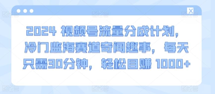 2024视频号流量分成计划，冷门监海赛道奇闻趣事，每天只需30分钟，轻松目赚 1000+【揭秘】互联网行业-互联网创业-创业网-知识创造价值 新生无限可能网创星球