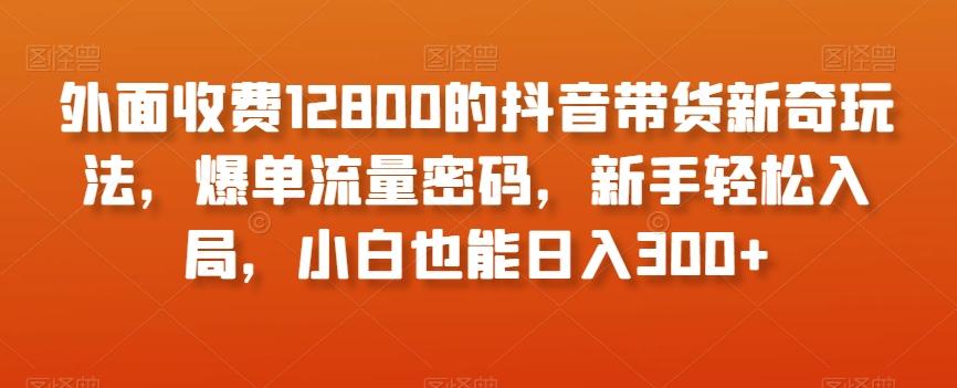 外面收费12800的抖音带货新奇玩法，爆单流量密码，新手轻松入局，小白也能日入300+【揭秘】互联网行业-互联网创业-创业网-知识创造价值 新生无限可能网创星球