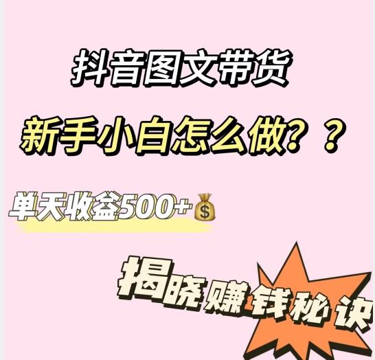 抖音图文带货，新手小白怎么做？单天收益500+【揭秘赚钱秘诀】互联网行业-互联网创业-创业网-知识创造价值 新生无限可能网创星球