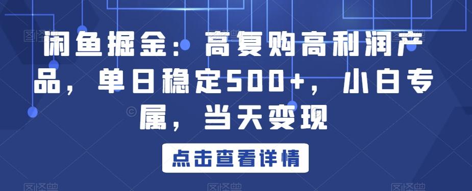 闲鱼掘金：高复购高利润产品，单日稳定500+，小白专属，当天变现互联网行业-互联网创业-创业网-知识创造价值 新生无限可能网创星球