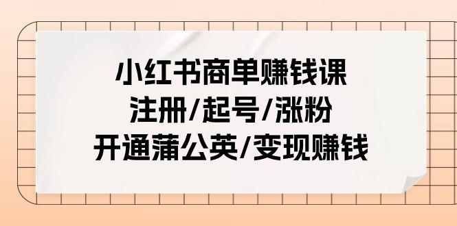 小红书商单赚钱课：注册/起号/涨粉/开通蒲公英/变现赚钱(25节课)互联网行业-互联网创业-创业网-知识创造价值 新生无限可能网创星球
