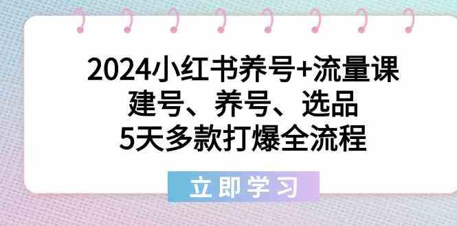 2024小红书养号+流量课：建号、养号、选品，5天多款打爆全流程互联网行业-互联网创业-创业网-知识创造价值 新生无限可能网创星球