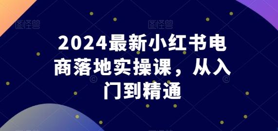2024最新小红书电商落地实操课，从入门到精通互联网行业-互联网创业-创业网-知识创造价值 新生无限可能网创星球