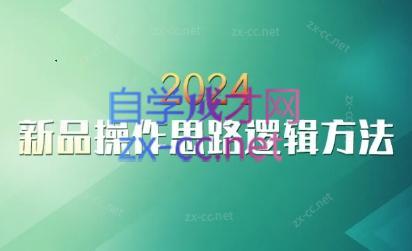 云创·2024新品操作思路逻辑方法互联网行业-互联网创业-创业网-知识创造价值 新生无限可能网创星球