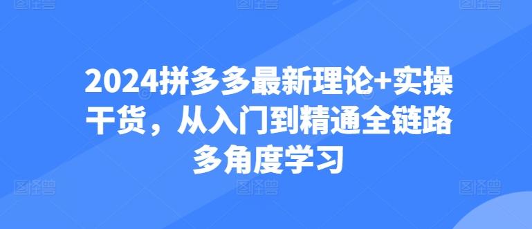 2024拼多多最新理论+实操干货，从入门到精通全链路多角度学习互联网行业-互联网创业-创业网-知识创造价值 新生无限可能网创星球