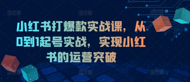 小红书打爆款实战课，从0到1起号实战，实现小红书的运营突破互联网行业-互联网创业-创业网-知识创造价值 新生无限可能网创星球