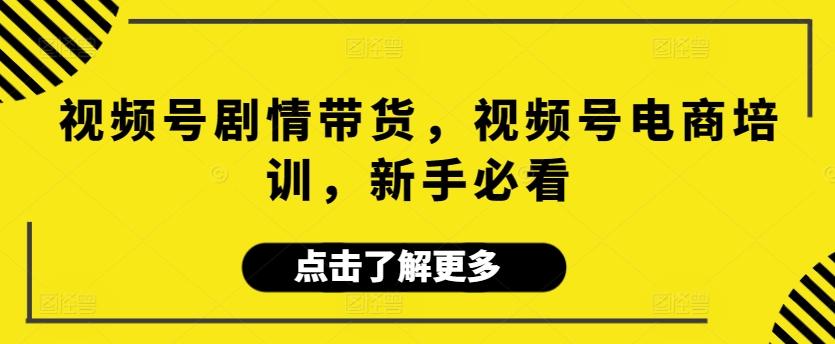 视频号剧情带货，视频号电商培训，新手必看互联网行业-互联网创业-创业网-知识创造价值 新生无限可能网创星球