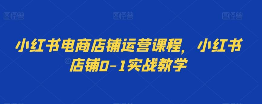 小红书电商店铺运营课程，小红书店铺0-1实战教学互联网行业-互联网创业-创业网-知识创造价值 新生无限可能网创星球