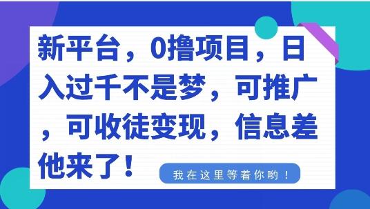 不要再花冤枉钱了，0撸项目，每天坚持，稳定1000+互联网行业-互联网创业-创业网-知识创造价值 新生无限可能网创星球