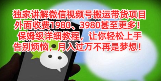 独家讲解微信视频号搬运带货项目，保姆级详细教程互联网行业-互联网创业-创业网-知识创造价值 新生无限可能网创星球
