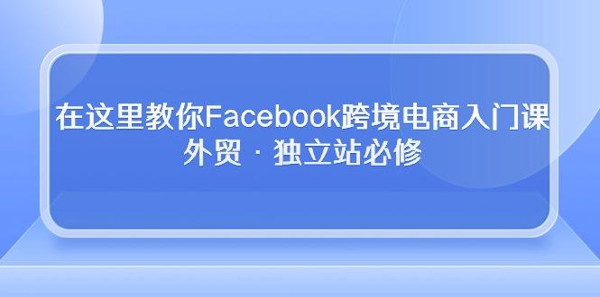 在这里教你Facebook跨境电商入门课，外贸·独立站必修互联网行业-互联网创业-创业网-知识创造价值 新生无限可能网创星球