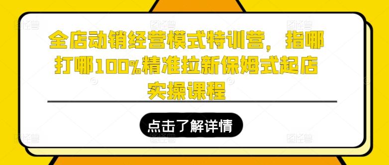 全店动销经营模式特训营，指哪打哪100%精准拉新保姆式起店实操课程互联网行业-互联网创业-创业网-知识创造价值 新生无限可能网创星球
