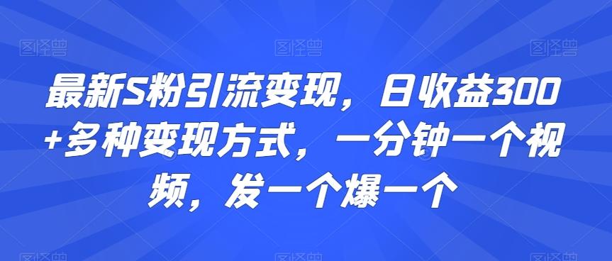 最新S粉引流变现，日收益300+多种变现方式，一分钟一个视频，发一个爆一个【揭秘】互联网行业-互联网创业-创业网-知识创造价值 新生无限可能网创星球