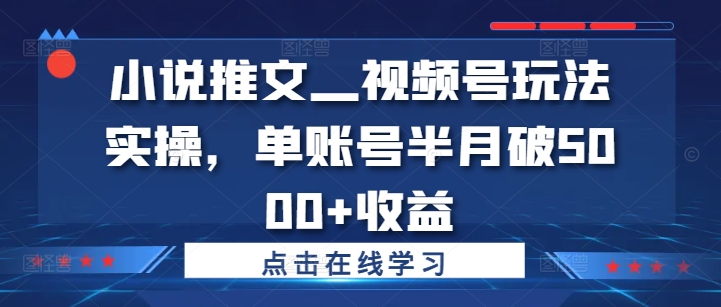 小说推文—视频号玩法实操，单账号半月破5000+收益互联网行业-互联网创业-创业网-知识创造价值 新生无限可能网创星球