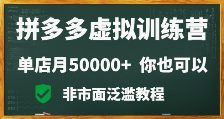 拼多多虚拟电商训练营月入30000+你也行，暴利稳定长久，副业首选互联网行业-互联网创业-创业网-知识创造价值 新生无限可能网创星球