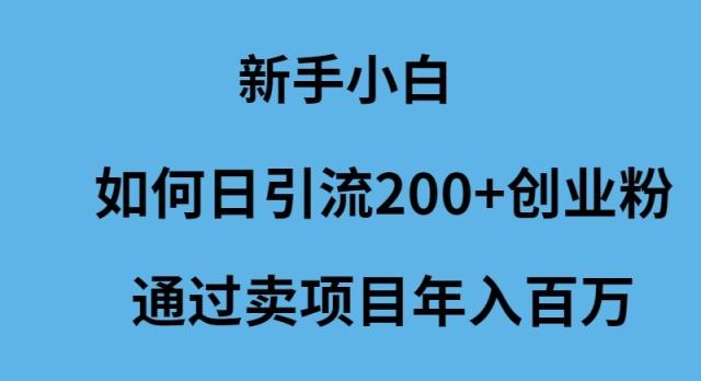 (9668期)新手小白如何日引流200+创业粉通过卖项目年入百万互联网行业-互联网创业-创业网-知识创造价值 新生无限可能网创星球