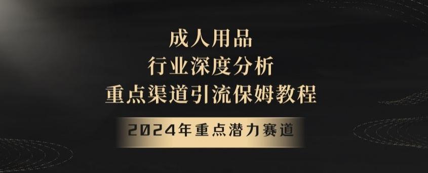 2024年重点潜力赛道，成人用品行业深度分析，重点渠道引流保姆教程【揭秘】互联网行业-互联网创业-创业网-知识创造价值 新生无限可能网创星球