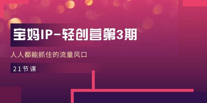 宝妈IP-轻创营第3期，人人都能抓住的流量风口(21节课互联网行业-互联网创业-创业网-知识创造价值 新生无限可能网创星球