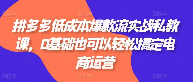 拼多多低成本爆款流实战私教课，0基础也可以轻松搞定电商运营互联网行业-互联网创业-创业网-知识创造价值 新生无限可能网创星球