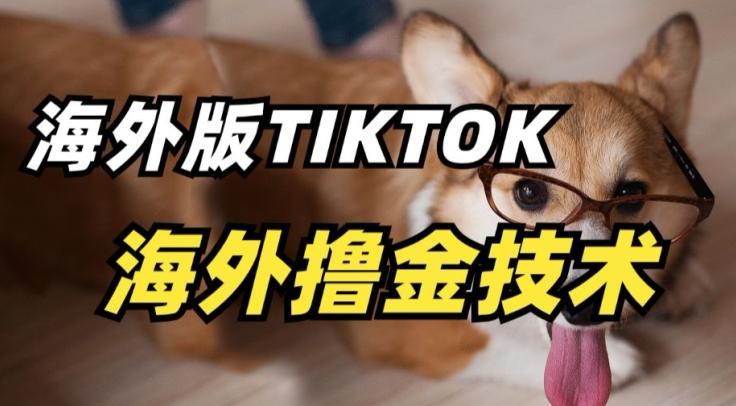 抖音海外版tiktok撸金技术，这个风口行业，赚钱真的不难【揭秘】互联网行业-互联网创业-创业网-知识创造价值 新生无限可能网创星球
