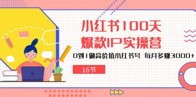 小红书100天-爆款IP实操营，0到1做高价值小红书号 每月多赚3000+(16节互联网行业-互联网创业-创业网-知识创造价值 新生无限可能网创星球