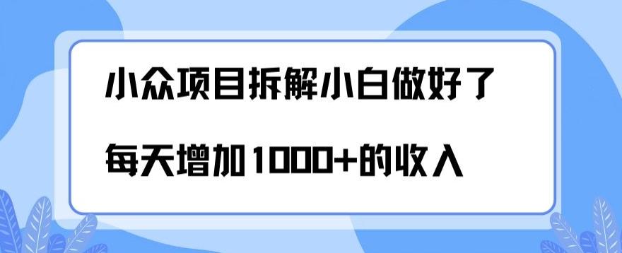 小众项目拆解，小白做好了每天可增加1000多的收入互联网行业-互联网创业-创业网-知识创造价值 新生无限可能网创星球