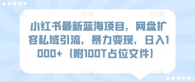 小红书最新蓝海项目，网盘扩容私域引流，暴力变现，日入1000+(附100T占位文件)【揭秘】互联网行业-互联网创业-创业网-知识创造价值 新生无限可能网创星球