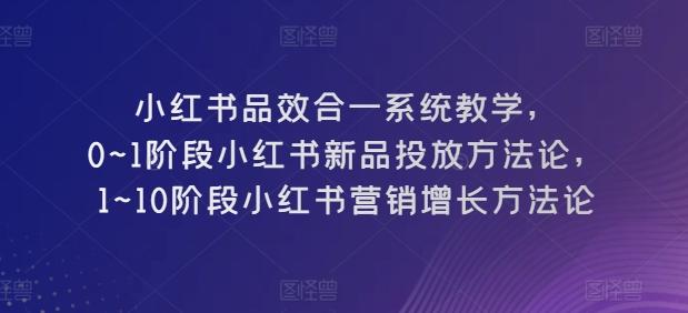 小红书品效合一系统教学，​0~1阶段小红书新品投放方法论，​1~10阶段小红书营销增长方法论互联网行业-互联网创业-创业网-知识创造价值 新生无限可能网创星球