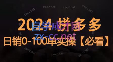 恒哥·2024拼多多日销0-100单实操互联网行业-互联网创业-创业网-知识创造价值 新生无限可能网创星球