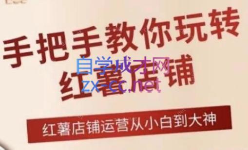 海燕老师·2024手把手教你玩转红薯店铺互联网行业-互联网创业-创业网-知识创造价值 新生无限可能网创星球