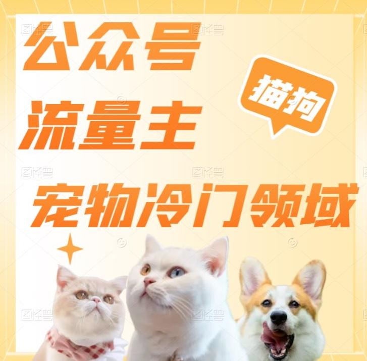 公众号流量主，萌宠冷门领域，单日收益2000+，简单暴力掘金，矩阵操作，无限放大收益！互联网行业-互联网创业-创业网-知识创造价值 新生无限可能网创星球