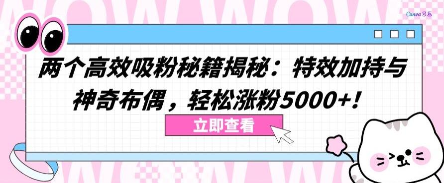 两个高效吸粉秘籍揭秘：特效加持与神奇布偶，轻松涨粉5000+【揭秘】互联网行业-互联网创业-创业网-知识创造价值 新生无限可能网创星球