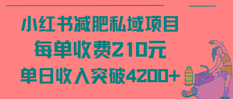 (9466期)小红书减肥私域项目每单收费210元单日成交20单，最高日入4200+互联网行业-互联网创业-创业网-知识创造价值 新生无限可能网创星球