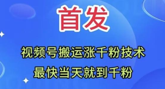 全网首发：视频号无脑搬运涨千粉技术，最快当天到千粉【揭秘】互联网行业-互联网创业-创业网-知识创造价值 新生无限可能网创星球
