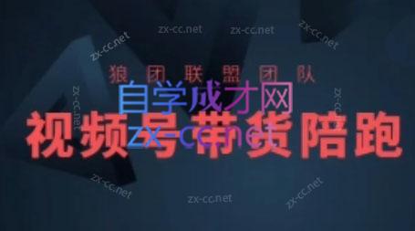 狼团联盟·2024视频号带货互联网行业-互联网创业-创业网-知识创造价值 新生无限可能网创星球